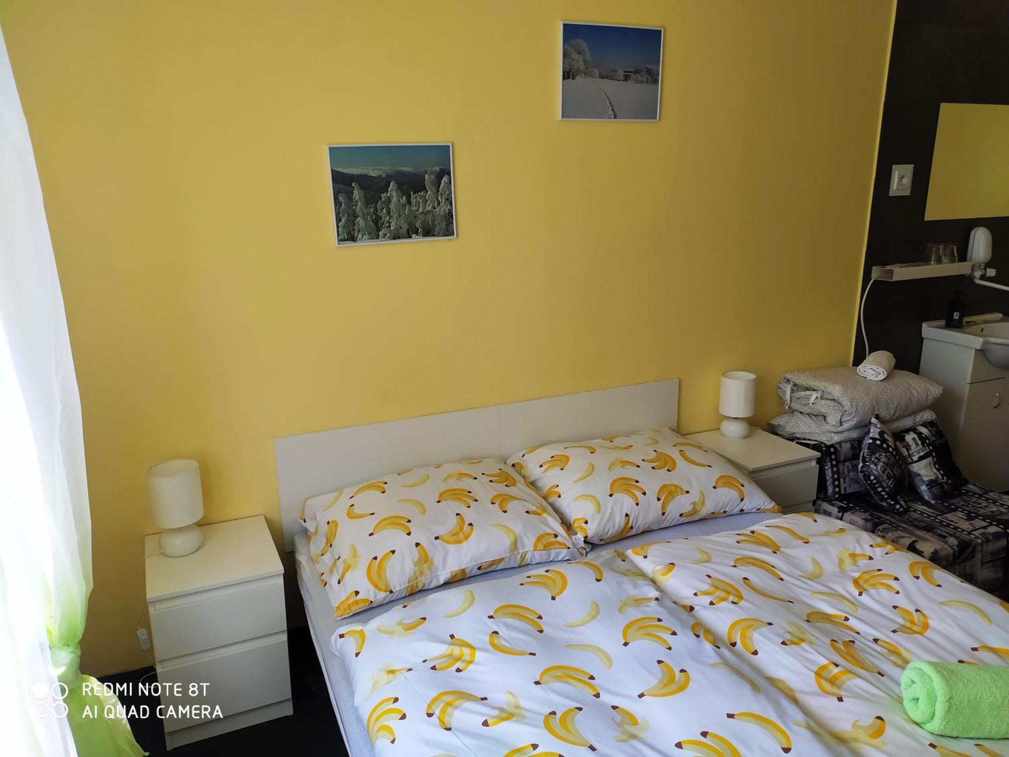 Wellness Penzion Triola Kořenov 外观 照片